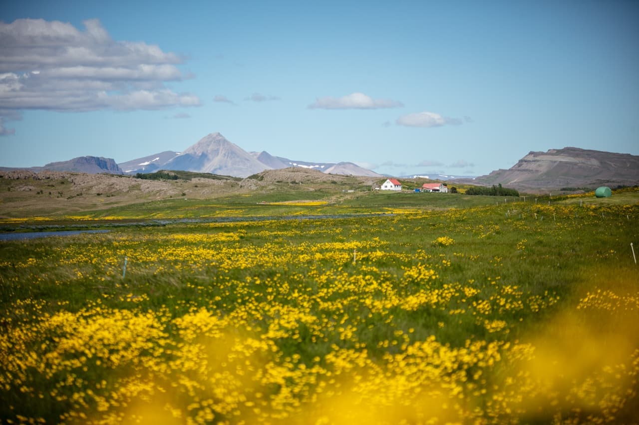 Stuttárbotnar, frístundabyggð í Húsafelli – Tillaga að deiliskipulagi