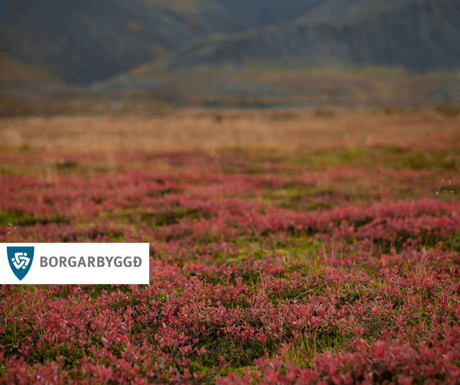 Söfnun rúlluplasts hefst 30. ágúst