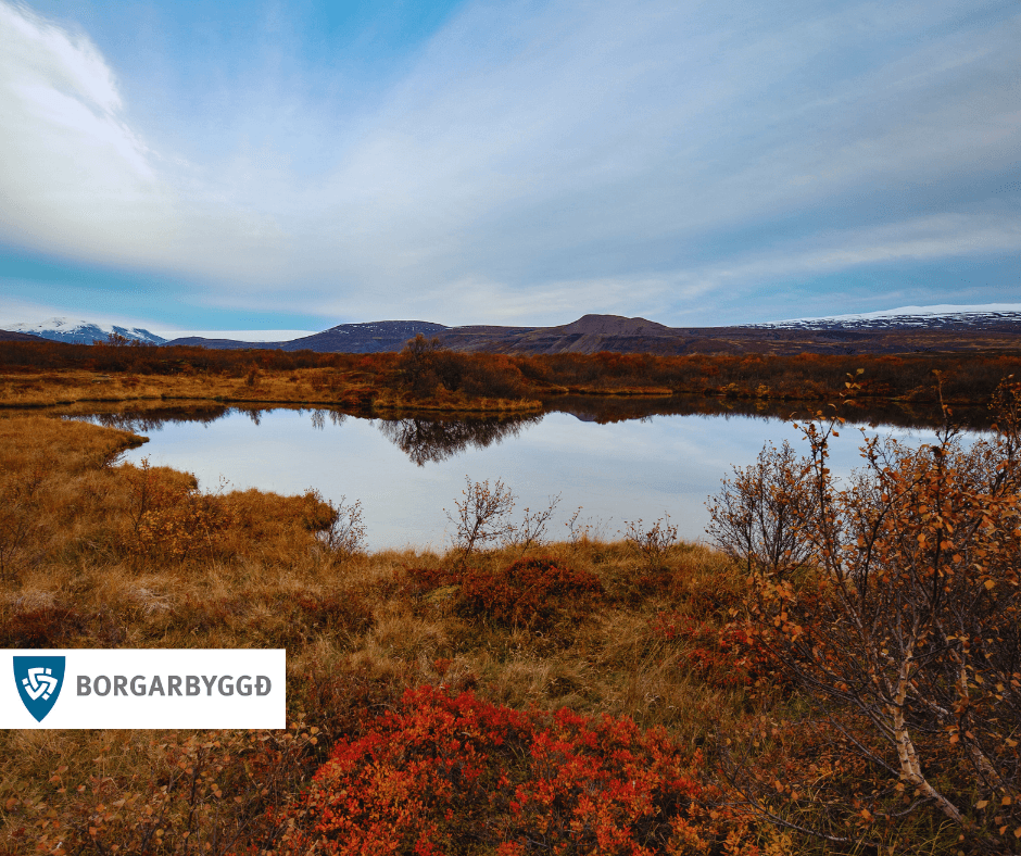 Umhirða og staðsetning íláta