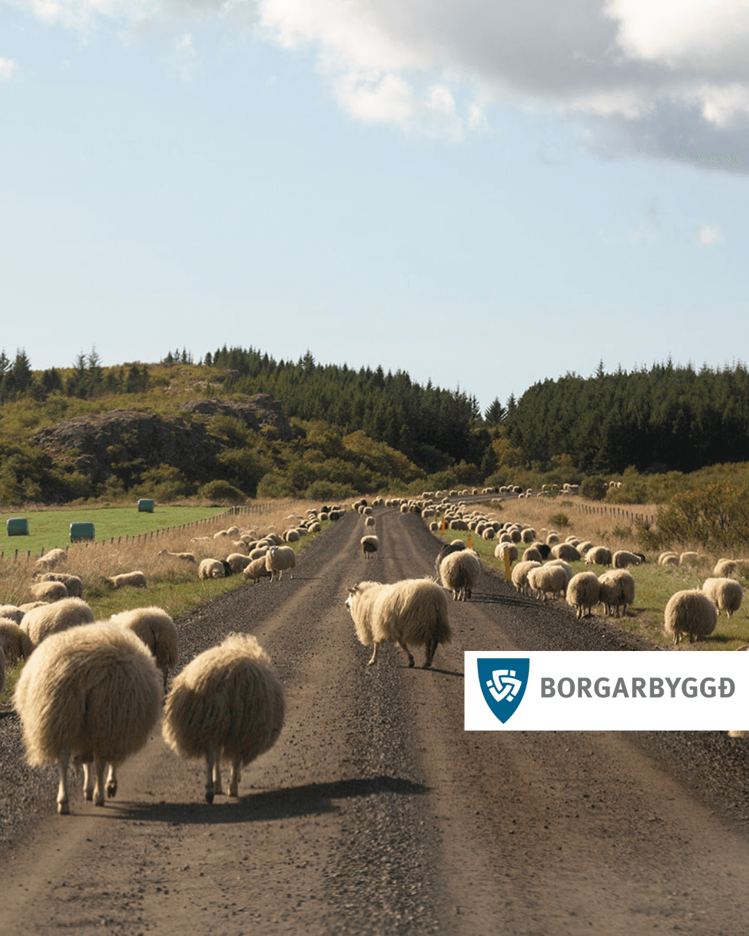 Söfnun á rúlluplasti